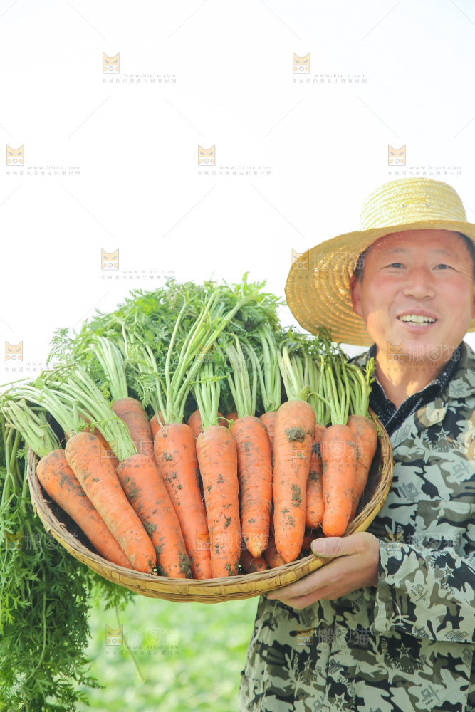 手里拿着胡萝卜