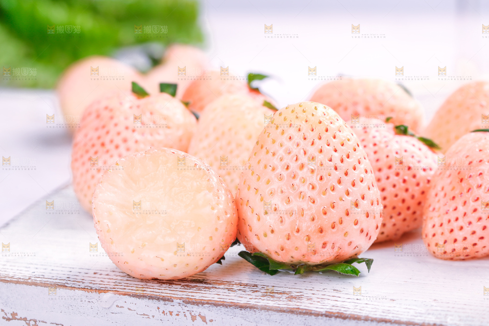 浅底上的淡雪草莓