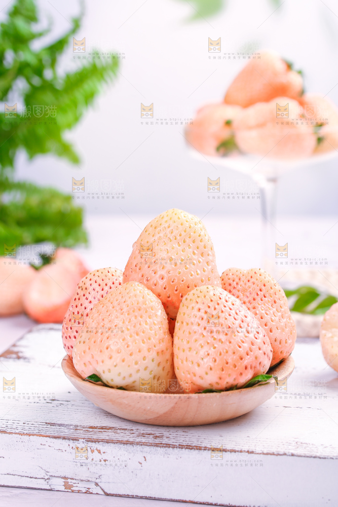 浅底上的淡雪草莓
