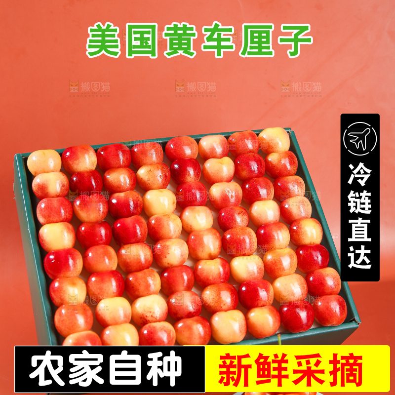 浅底上的黄金车厘子