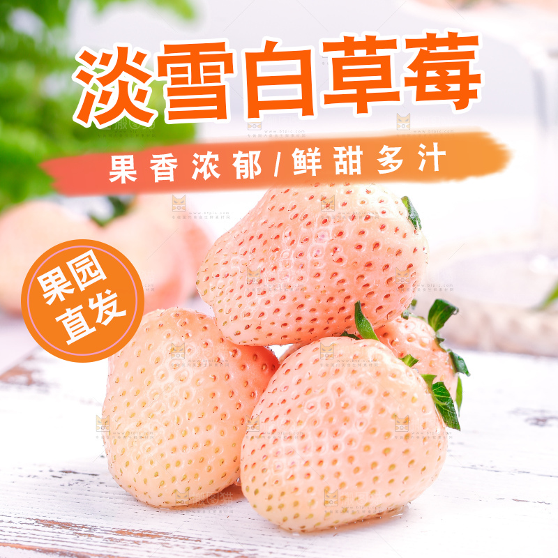 浅底上的淡雪草莓