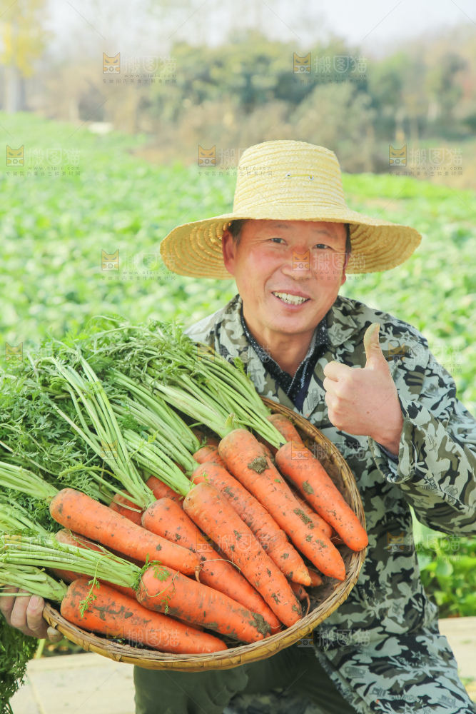 手里拿着胡萝卜