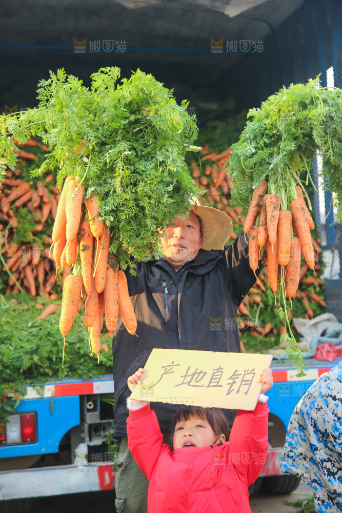 手里拿着胡萝卜