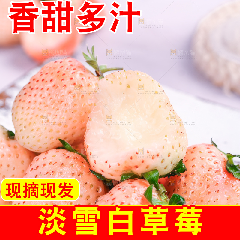 浅底上的淡雪草莓