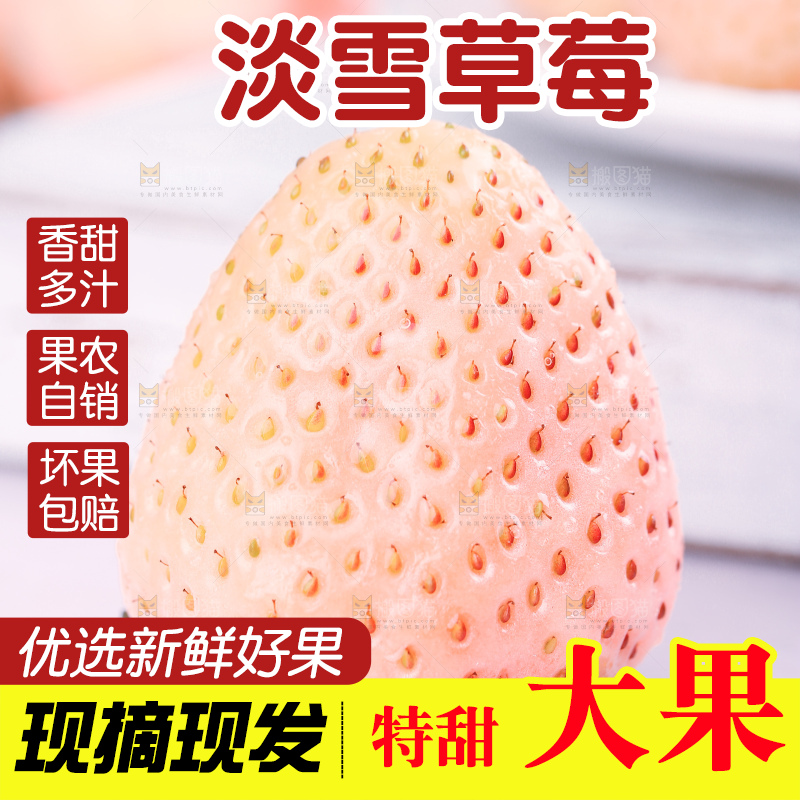 浅底上的淡雪草莓