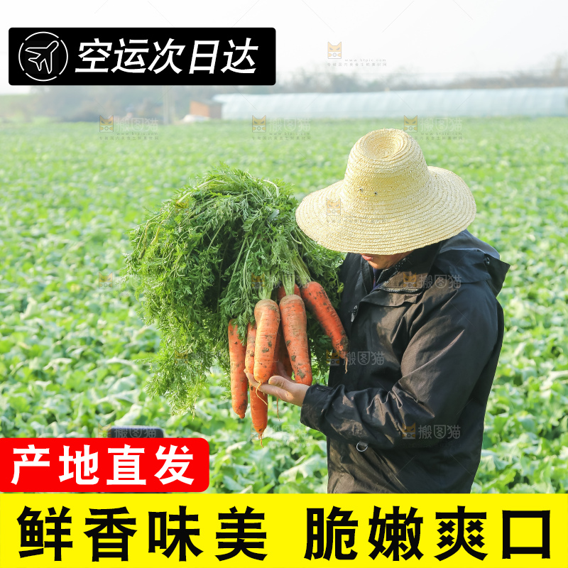 手里拿着胡萝卜