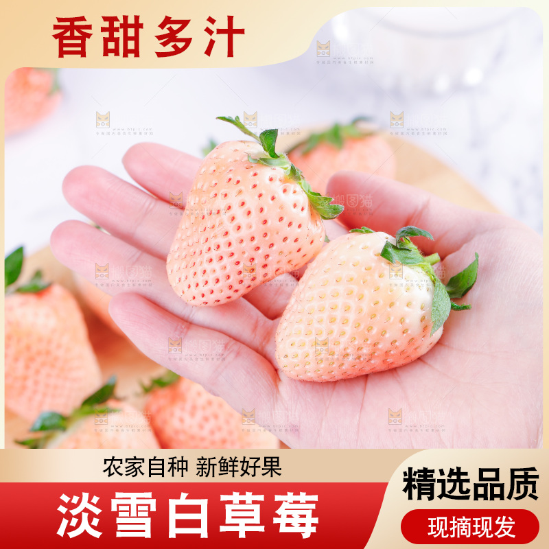 浅底上的淡雪草莓