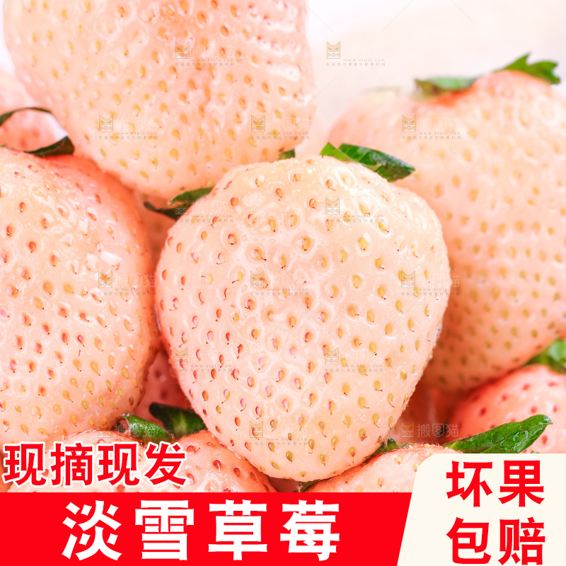 淡雪草莓主图