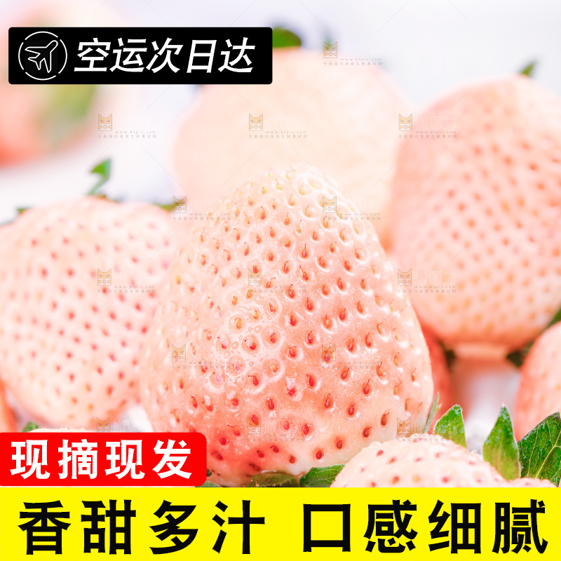 浅底上的淡雪草莓