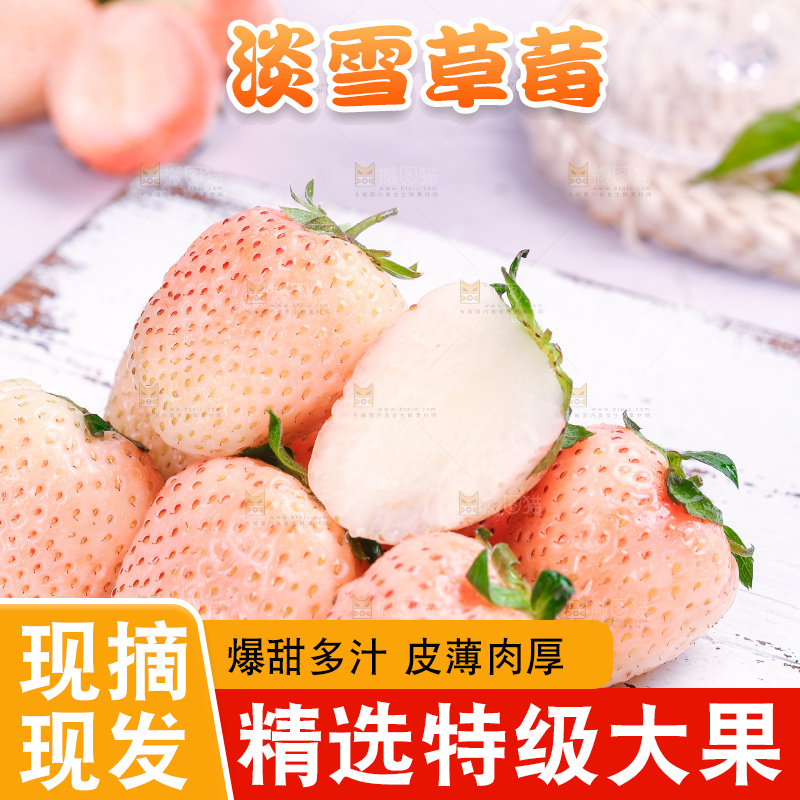 浅底上的淡雪草莓