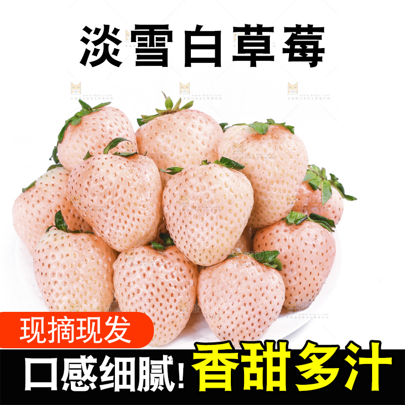 白底上的淡雪草莓