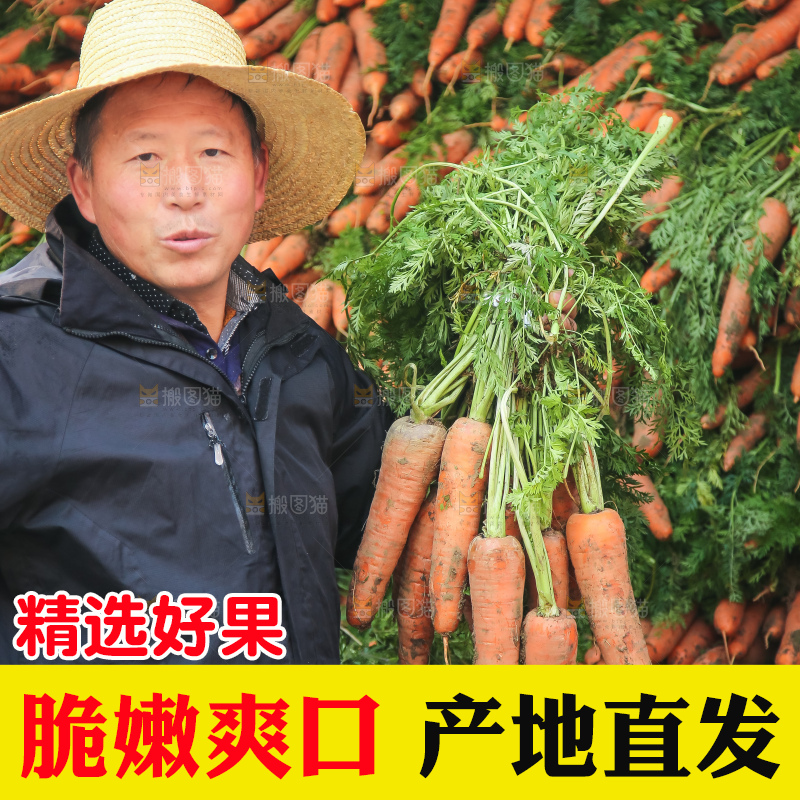 手里拿着胡萝卜