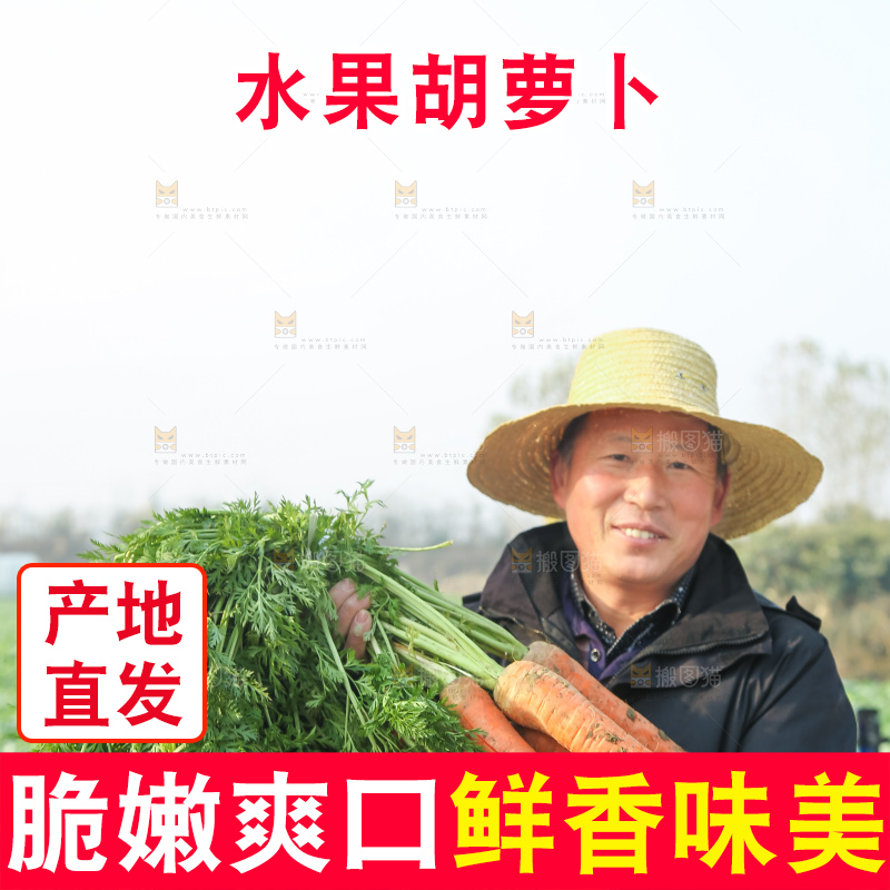 手里拿着胡萝卜