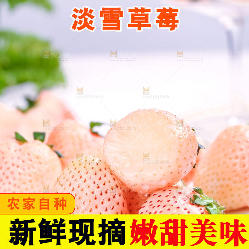 浅底上的淡雪草莓
