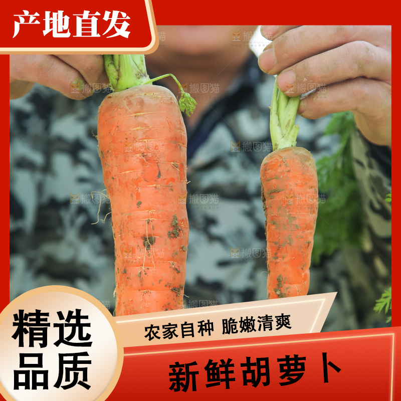 手里拿着胡萝卜
