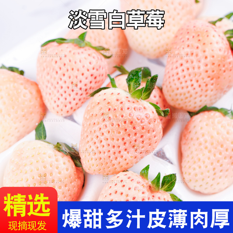 浅底上的淡雪草莓