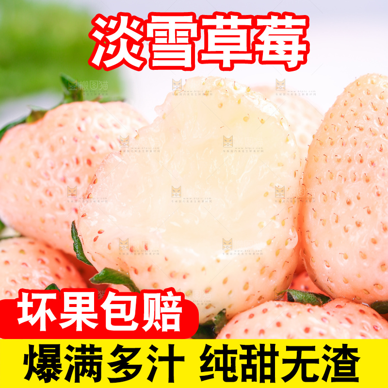 浅底上的淡雪草莓