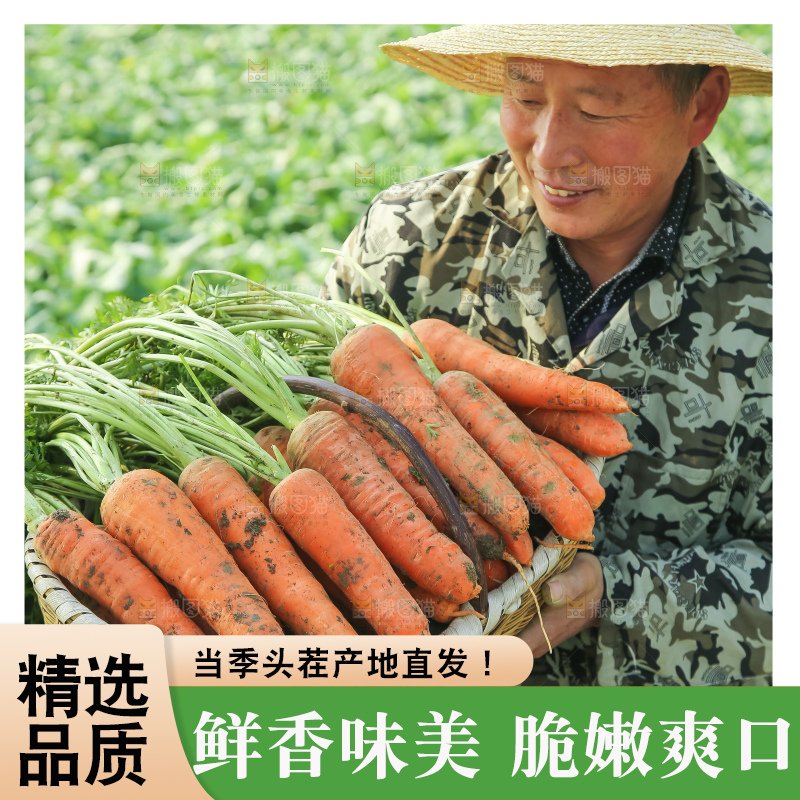 手里拿着胡萝卜