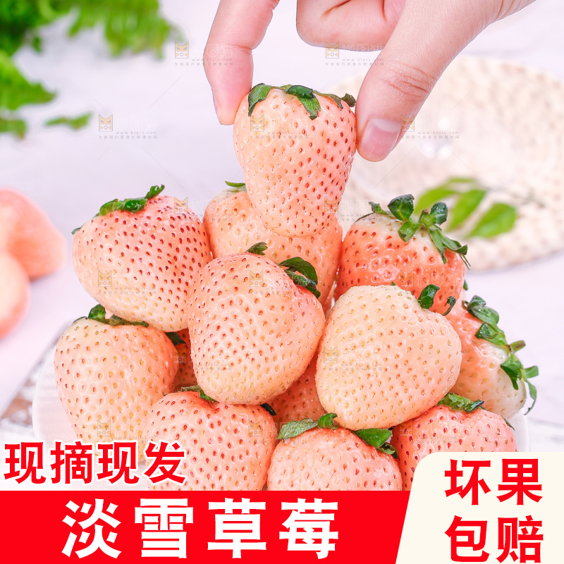 浅底上的淡雪草莓