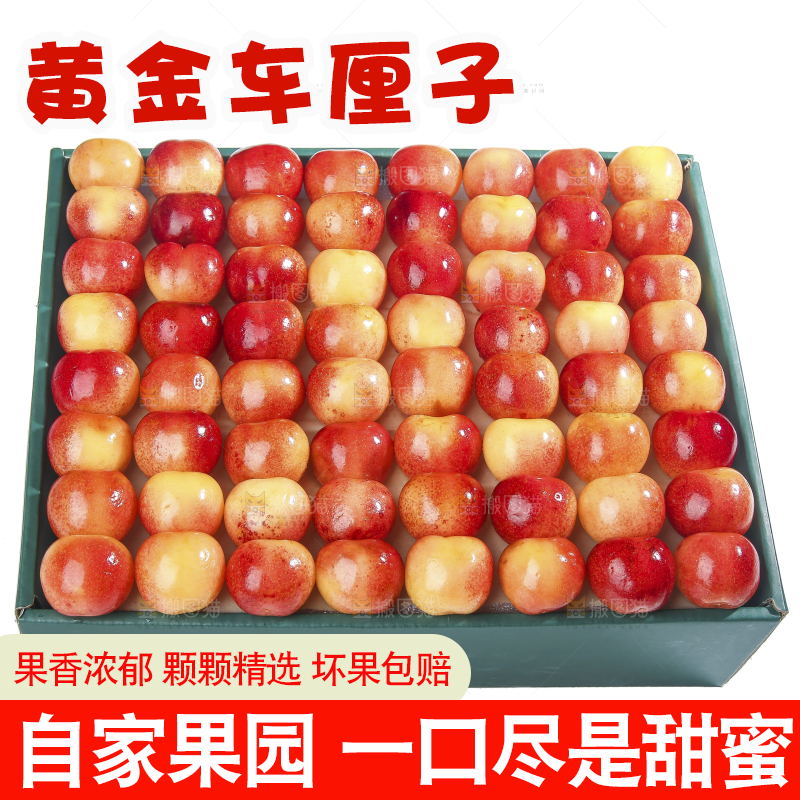 白底上的黄金车厘子