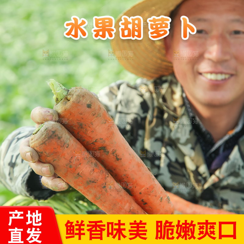 手里拿着胡萝卜