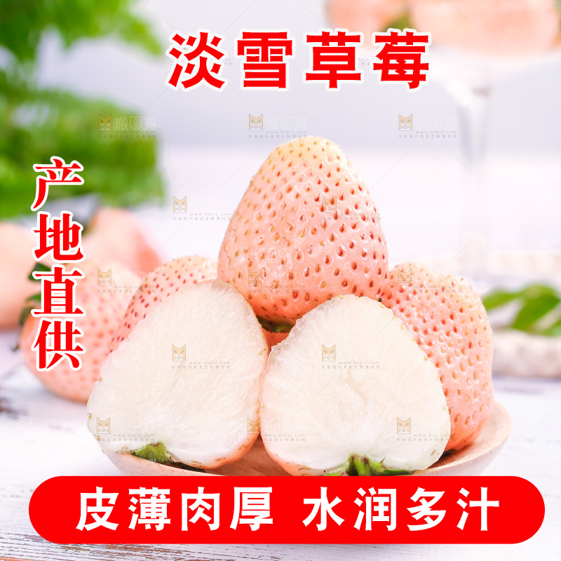 浅底上的淡雪草莓