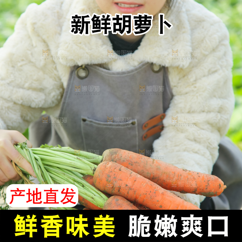 手里拿着胡萝卜