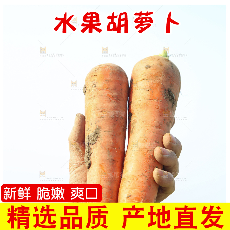 手里拿着胡萝卜
