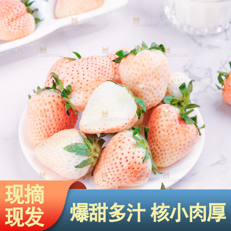 浅底上的淡雪草莓