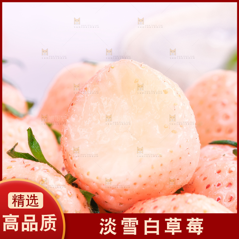 浅底上的淡雪草莓