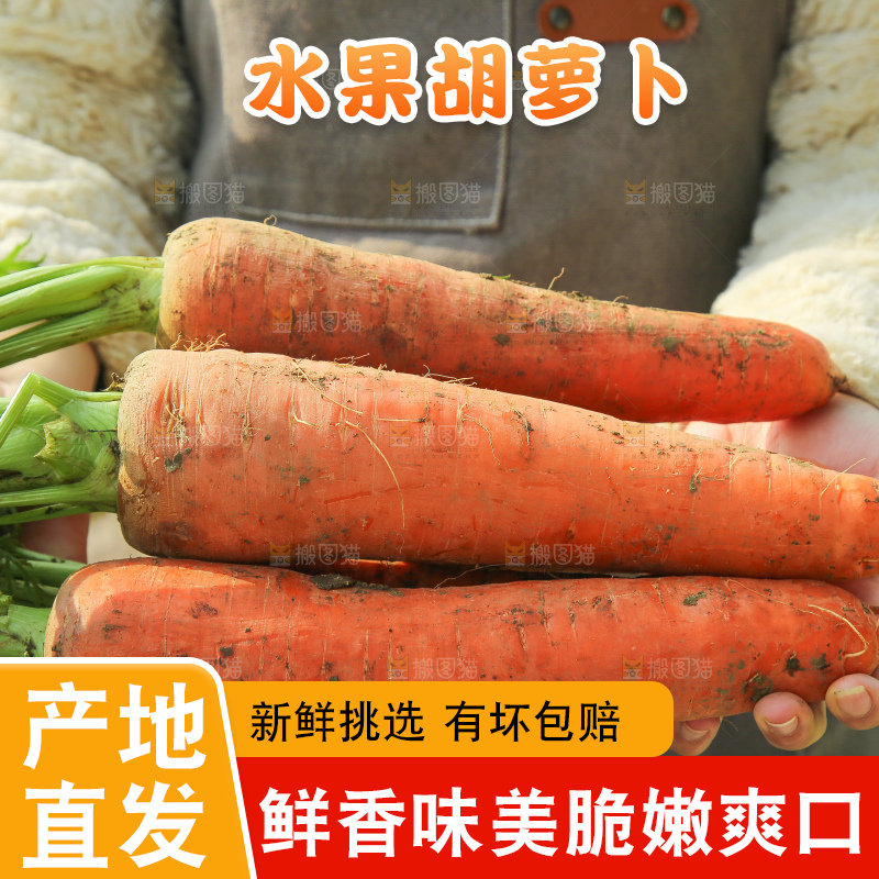 手里拿着胡萝卜