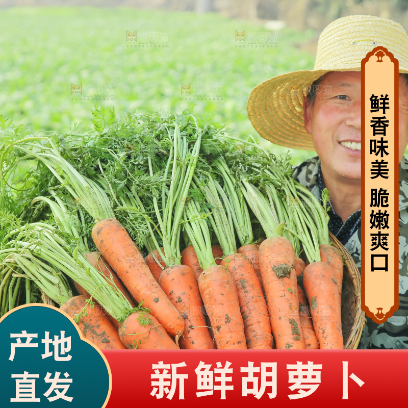 手里拿着胡萝卜