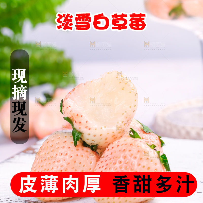 浅底上的淡雪草莓