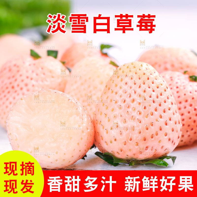 浅底上的淡雪草莓