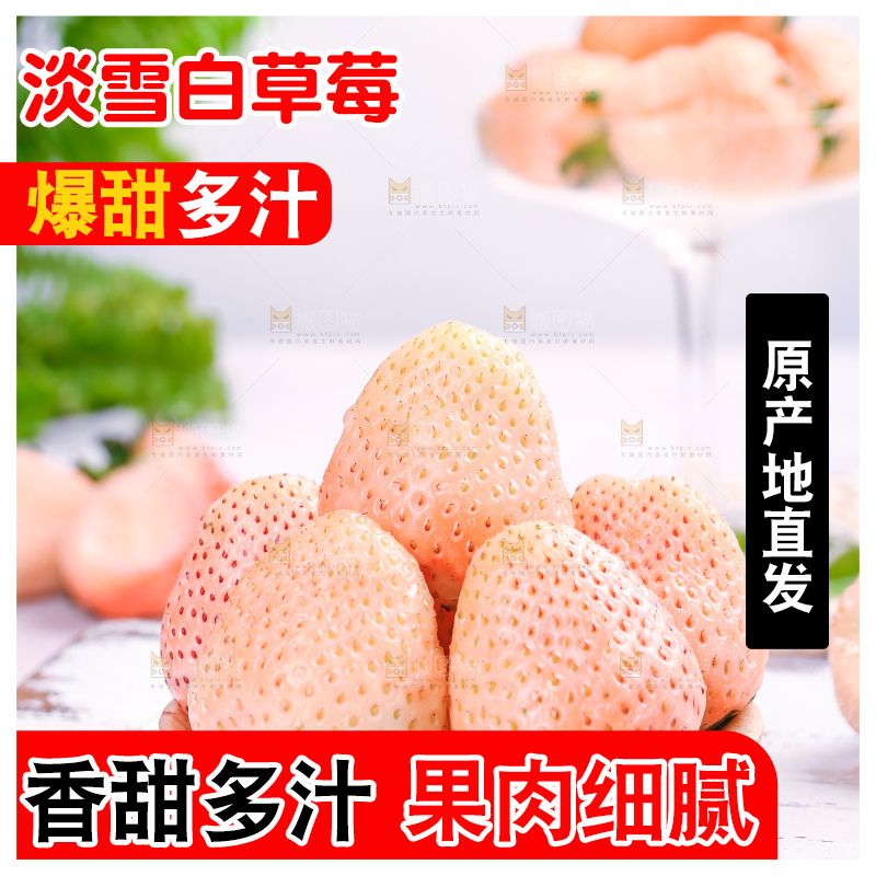 浅底上的淡雪草莓