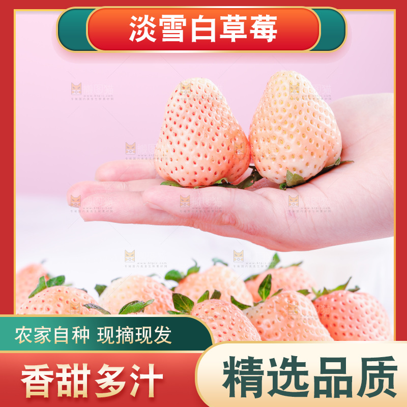 浅底上的淡雪草莓