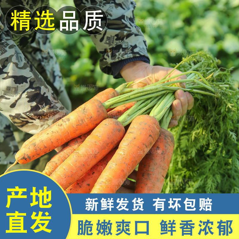 手里拿着胡萝卜