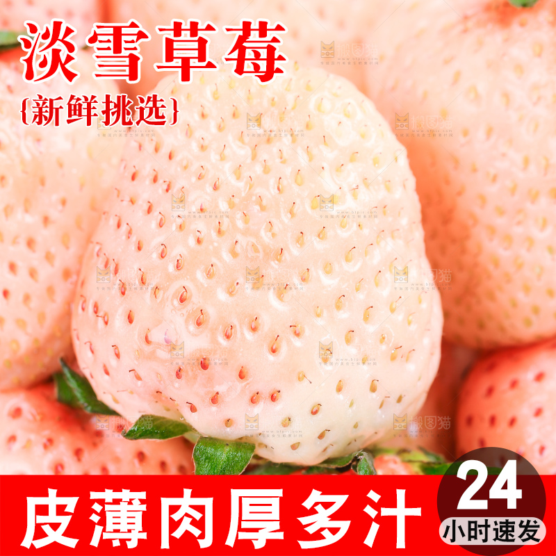 浅底上的淡雪草莓