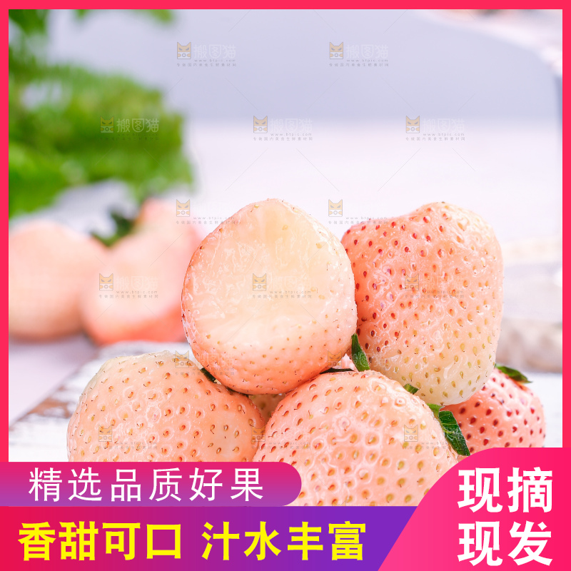 浅底上的淡雪草莓