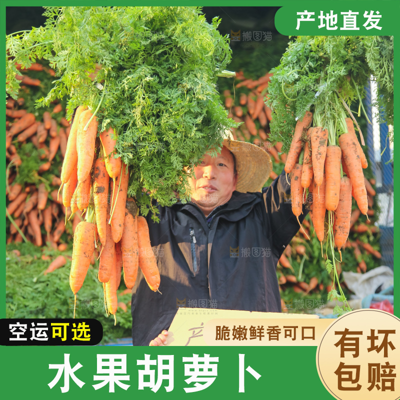 手里拿着胡萝卜