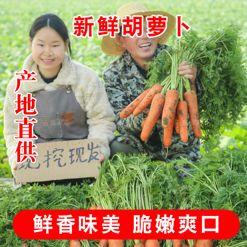 手里拿着胡萝卜