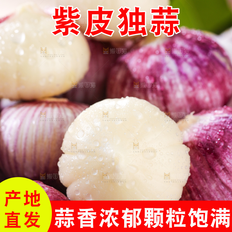 木底上的紫皮独头蒜