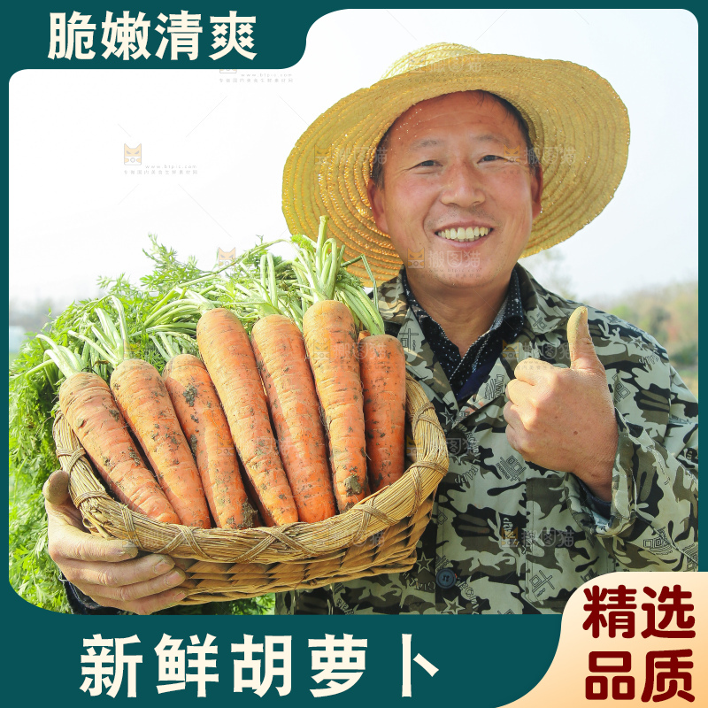 手里拿着胡萝卜