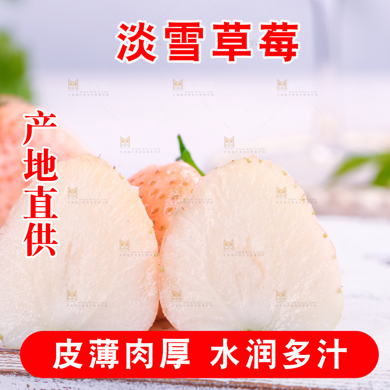 浅底上的淡雪草莓