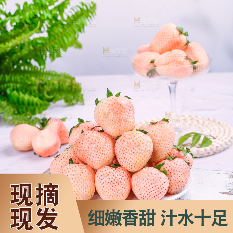 浅底上的淡雪草莓