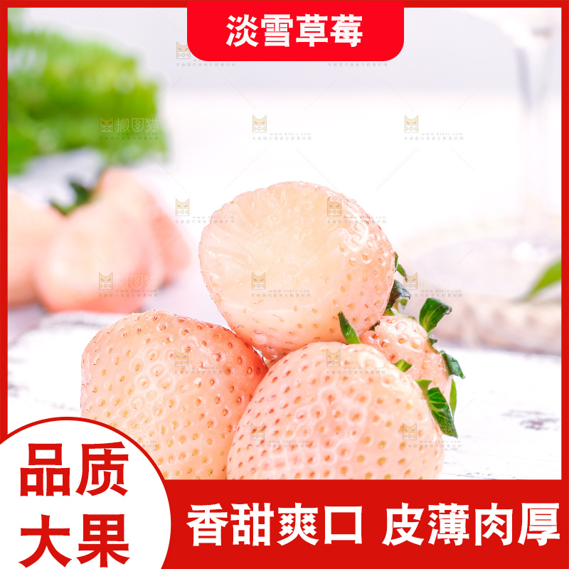 浅底上的淡雪草莓