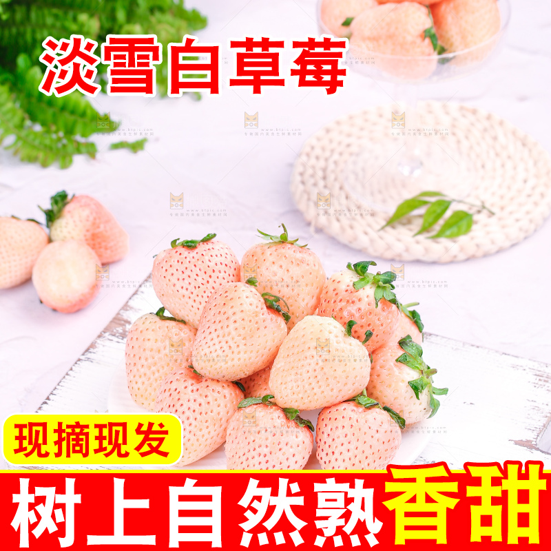 浅底上的淡雪草莓