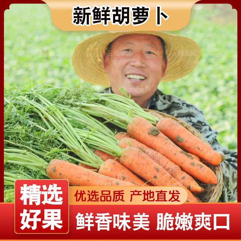 手里拿着胡萝卜