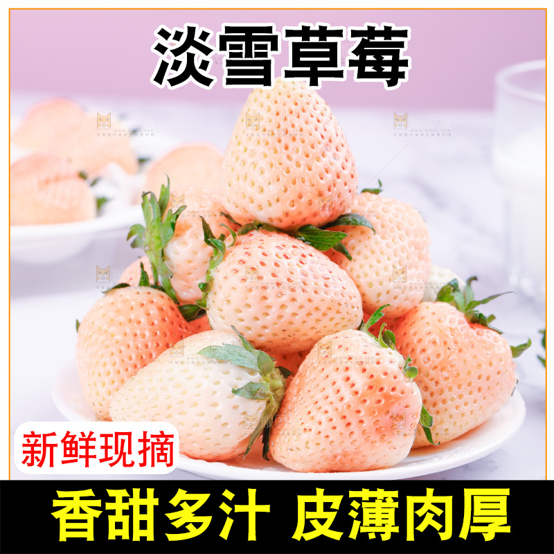 浅底上的淡雪草莓