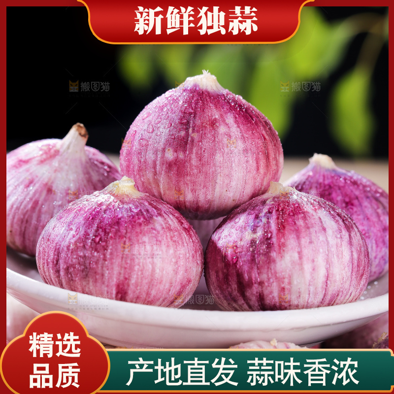 木底上的紫皮独头蒜